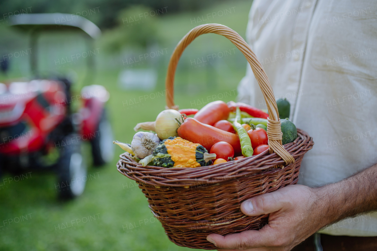 Close up of farmer holding harvest basket full of fresh vegetables. Collecting crops in autumn season.