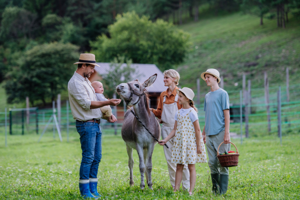 Portrait of farmer family petting donkey on their farm. A gray mule at the family farm. Concept of multigenerational farming.