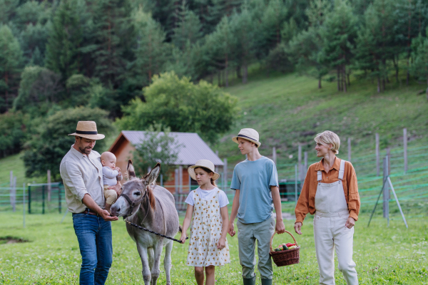 Farmer family walking with donkey across their farm A gray mule as a farm animals at the family farm. Concept of multigenerational farming.