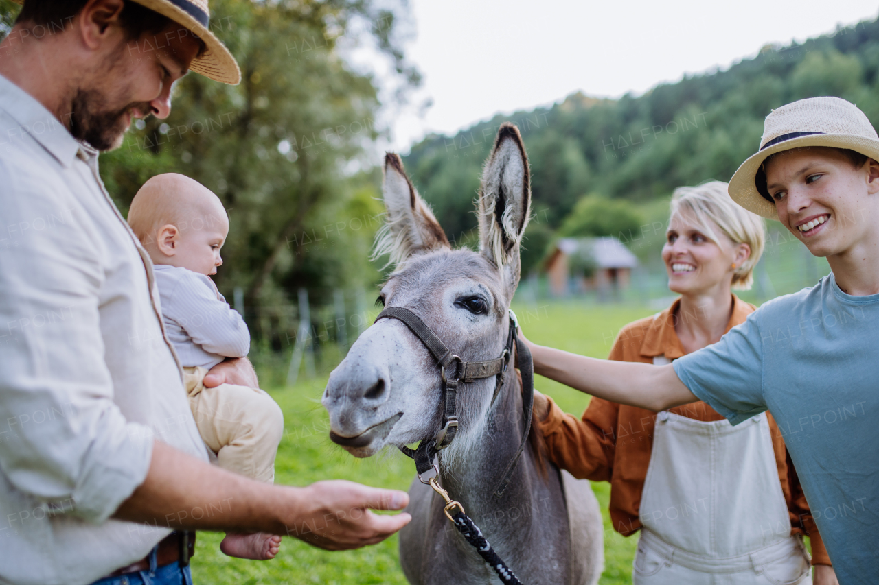 Portrait of farmer family petting donkey on their farm. A gray mule as a farm animals at the family farm. Concept of multigenerational farming.