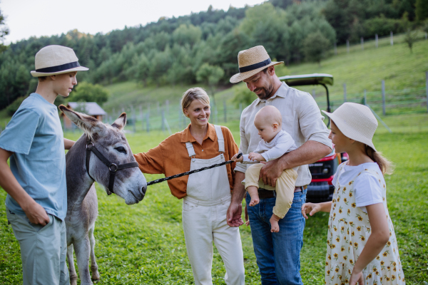 Portrait of farmer family petting donkey on their farm. A gray mule at the family farm. Concept of multigenerational farming.