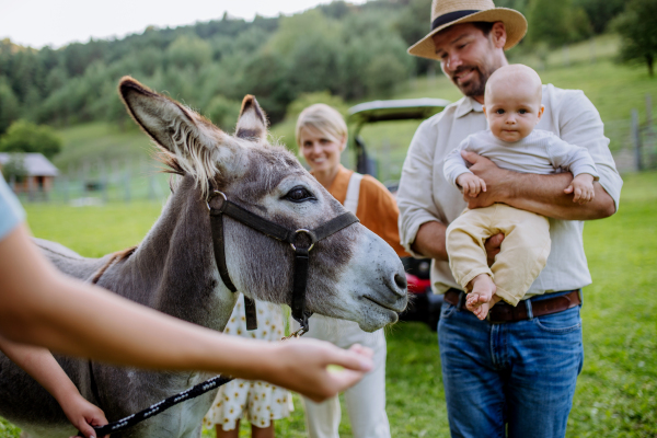 Portrait of farmer family petting donkey on their farm. A gray mule as a farm animals at the family farm. Concept of multigenerational farming.