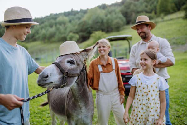 Farmer family walking with donkey on their farm. A gray mule wearing hat. Donkey as a farm animal at the family farm. Concept of multigenerational farming.