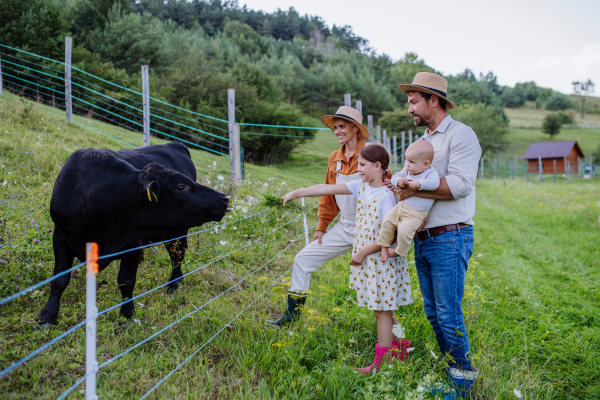 Portrait of farmer family looking at animals in paddock, cows. Farm animals having ideal paddock for grazing. Concept of multigenerational and family farming.