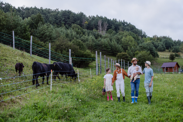 Rear view of farmer family walking by animals, cows in paddock. Farm animals having ideal paddock for grazing. Concept of multigenerational and family farming.