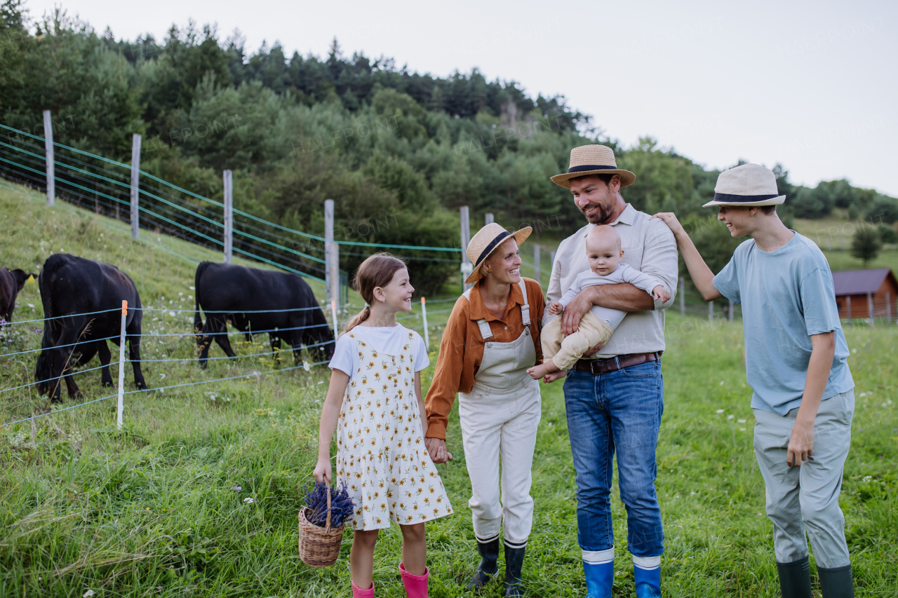 Front view of farmer family walking by animals, cows in paddock. Farm animals having ideal paddock for grazing. Concept of multigenerational and family farming.