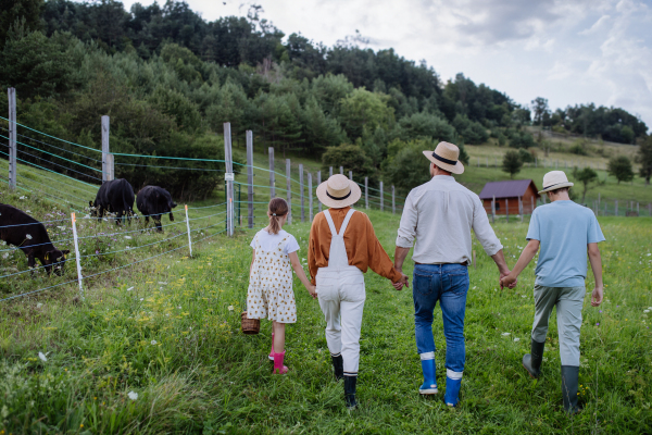 Rear view of farmer family walking by animals, cows in paddock. Farm animals having ideal paddock for grazing. Concept of multigenerational and family farming.