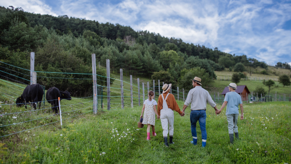 Rear view of farmer family looking at animals in paddock. Farm animals having ideal paddock for grazing. Concept of multigenerational and family farming.