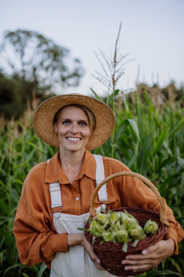 Portrait of female farmer holding basket full of harvested corn. Organic sweet corn cobs picked from the plants.