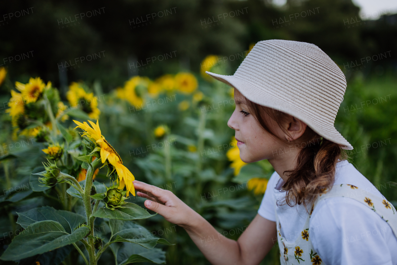 Beautiful young girl smelling sunflowers on the field. Girl enjoying a beautiful flowers in the summer farm fields. Future female farmer.