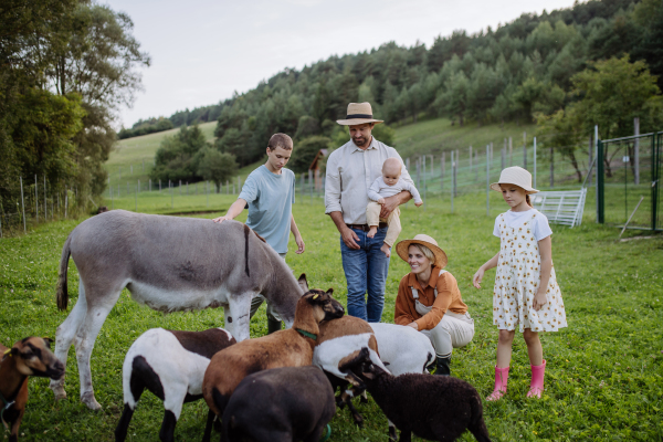 Portrait of farmer family petting donkey and goats on their farm. A gray mule and goats as a farm animals at the family farm. Concept of multigenerational farming.