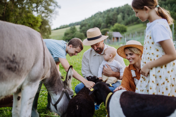 Portrait of farmer family petting donkey and goats on their farm. A gray mule and goats as a farm animals at the family farm. Concept of multigenerational farming.