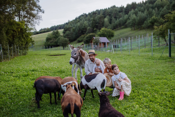 Portrait of farmer family petting donkey and goats on their farm. A gray mule and goats as a farm animals at the family farm. Concept of multigenerational farming.