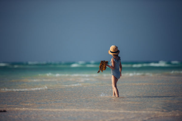 Rear view of a little girl walking on the beach with seaweed in hand. Full body shot of smilling girl in blue swimsuit, enjoying sandy beach and crystalline sea of Mnemba beach in Zanzibar, with copy space. Concept of beach summer vacation with kids.