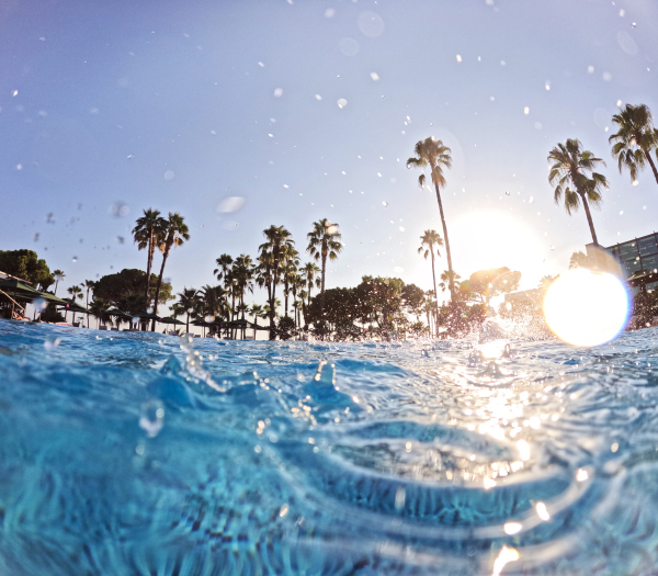 Over-under shot of a hotel pool in a beach resort with copy space. Beach resort vacation by the sea. Winter or summer seaside resort holiday.