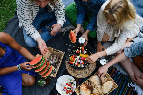 A group of multiracial young friends camping near lake and and having barbecue together, top view.