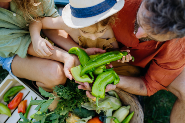 Top view of happy family holding their harvest, fresh vegetable. Sitting in garden.