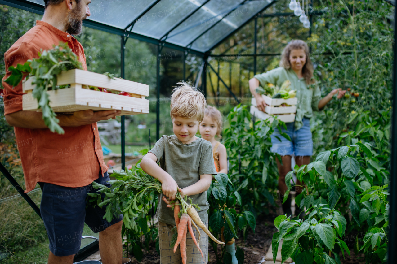 A farmer family with fresh harvest standing in a greenhouse