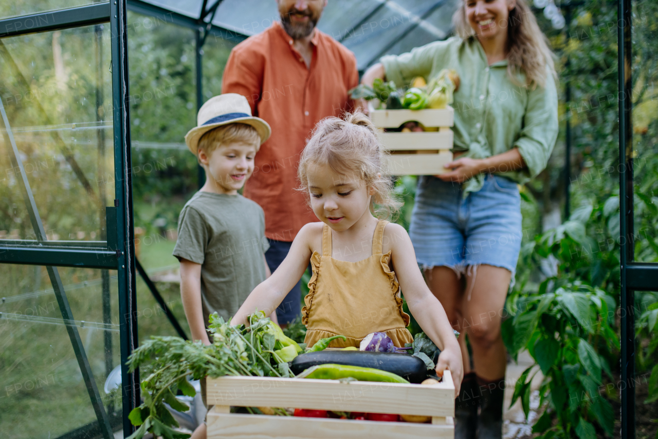 A farmer family with fresh harvest standing in a greenhouse holding vegetable in wooden boxes.