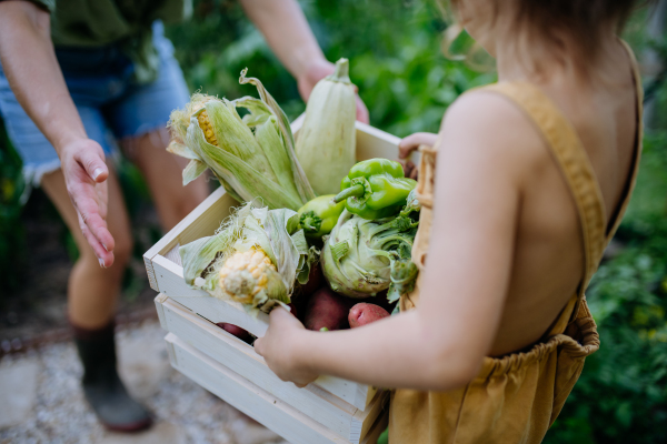 A little girl holding crate with fresh harvest standing in a greenhouse and giuving it to molther.