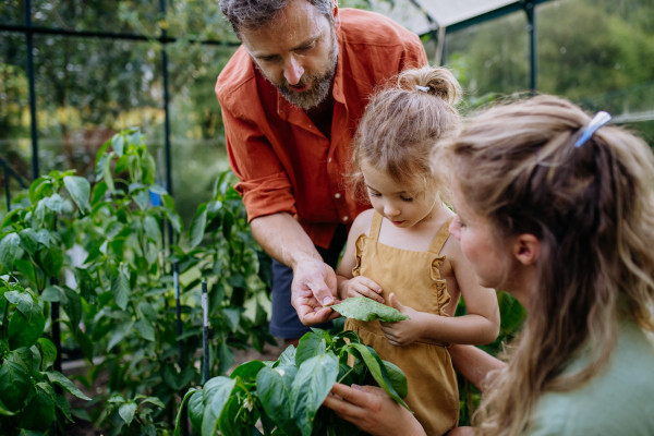 Parents with a little daughter standing in a greenhouse and learning about plants.