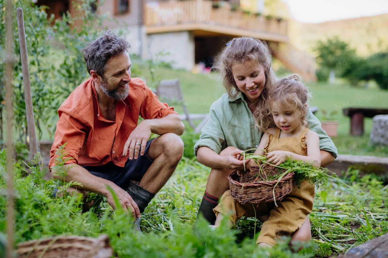 A happy farmer family with fresh harvest together in garden in summer.