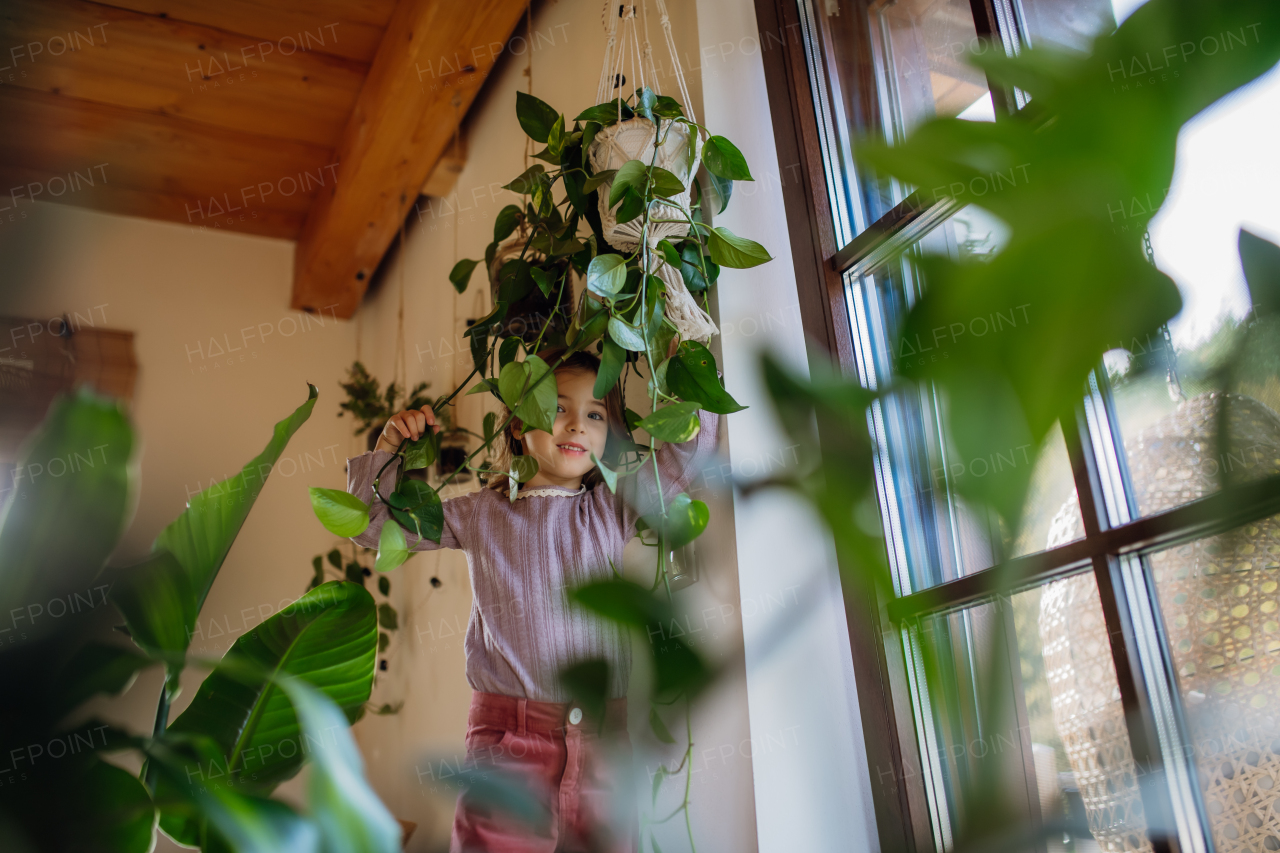 Portrait of beautiful young girl at home, standing in the middle of interior plants, houseplants, hiding in them.