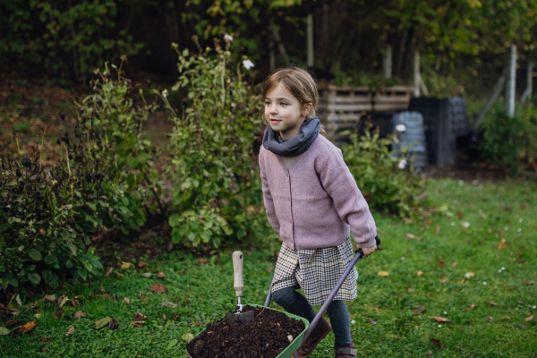 Little girl pushing wheelbarow with compost in garden, during first spring days. Concept of water conservation in garden and family gardening.