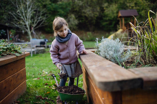 Portrait of little girl taking care of plants in garden, during first spring days, last autumn days. Concept of water conservation in garden and family gardening.