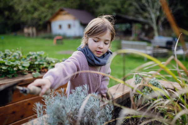 Little girl taking care of plants in garden, during first spring days, last autumn days. Concept of water conservation in garden and family gardening.