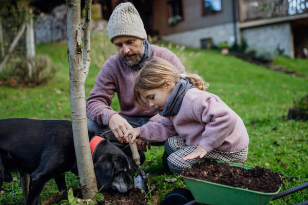 Little girl and father planting tree in garden in the spring, using compost. Concept of sustainable gardening family gardening.