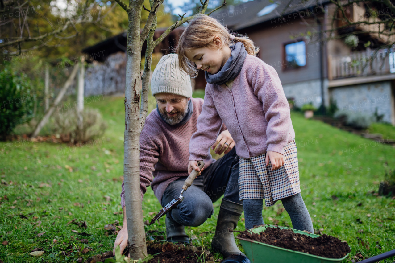 Little girl and father planting tree in garden in the spring, using compost. Concept of sustainable gardening family gardening.