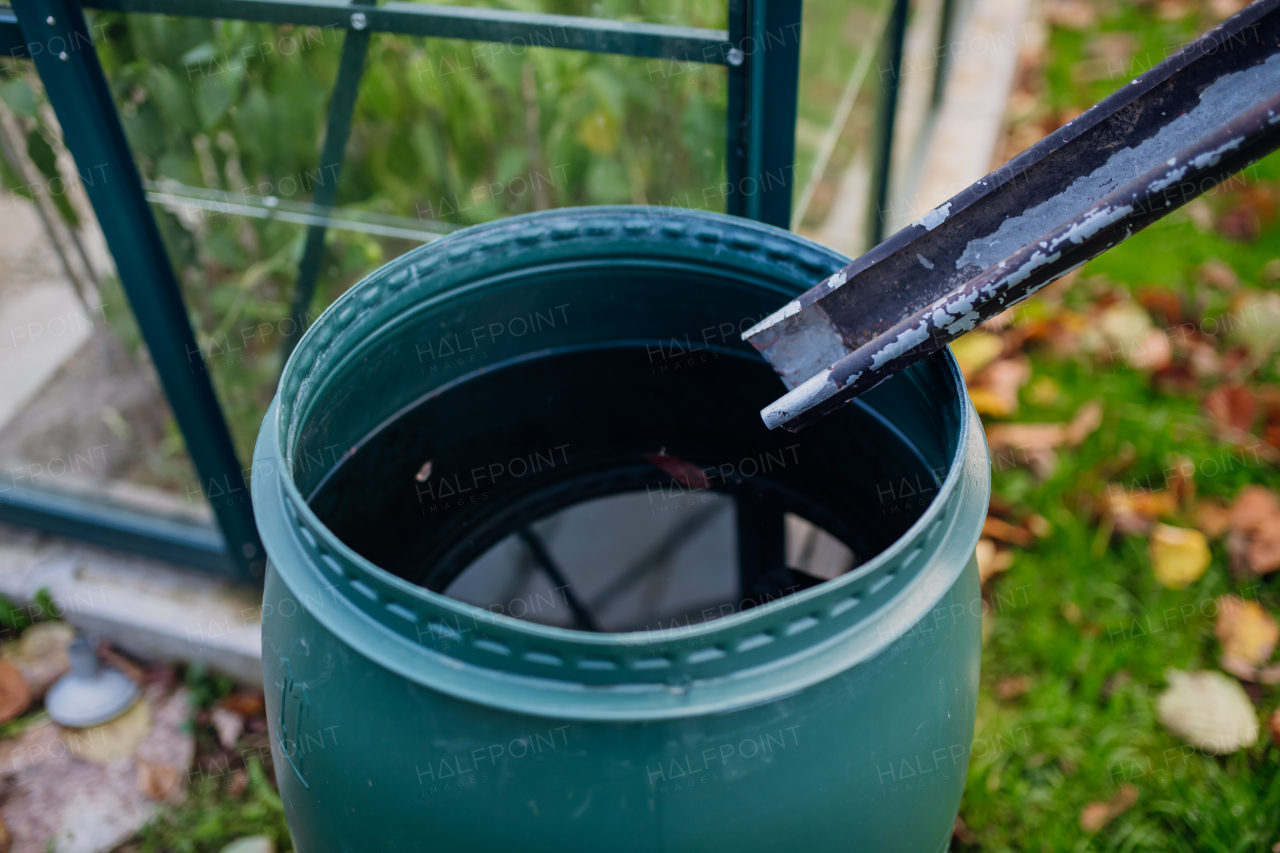 Barell under downspout collecting rainwater from the roof in the garden. Concept of water conservation.