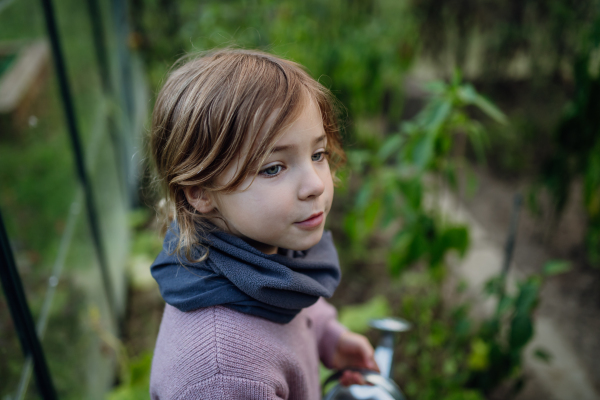 Little girl watering plants in the garden, using collected rainwater. Concept of water conservation in the garden and family gardening.