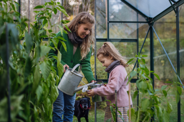 Mother and daughter watering plants in the garden, using collected rainwater. Concept of water conservation in the garden and family gardening.