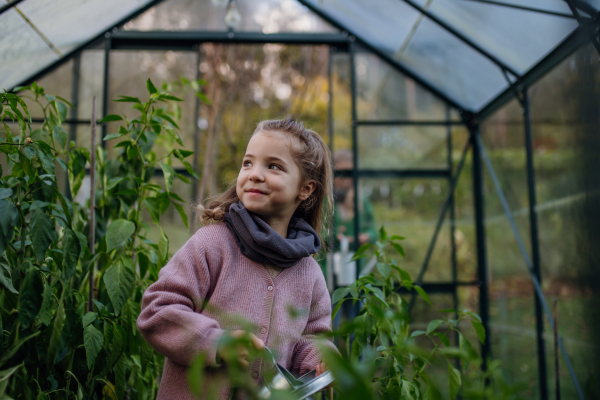 Little girl taking care of plants in greenhouse, during first spring days, last autumn days. Concept of water conservation in garden and family gardening.