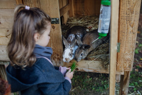 The girl is feeding the pet rabbit, giving it vegetables from the garden and old bread.