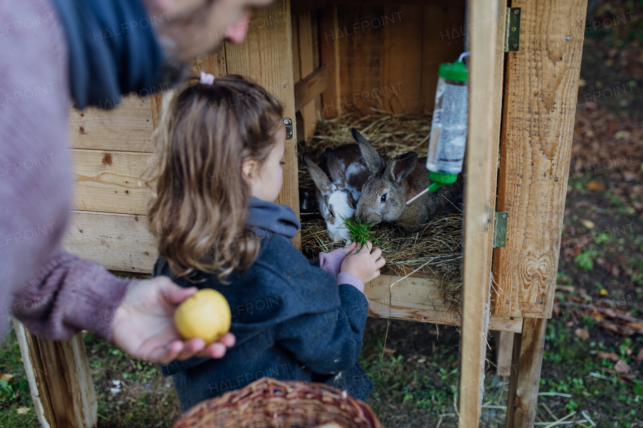 Father and daughter feeding the pet rabbit, giving it vegetables from the garden and old bread.