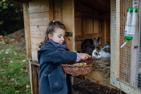 The girl is feeding the pet rabbit, giving it vegetables from the garden and old bread.