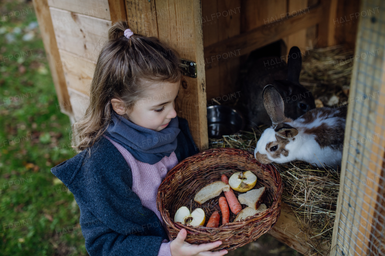 The girl is feeding the pet rabbit, giving it vegetables from the garden and old bread.