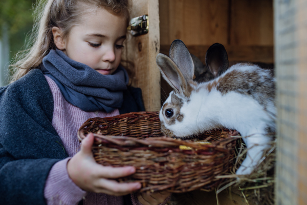 The girl is feeding the pet rabbit, giving it vegetables from the garden and old bread.