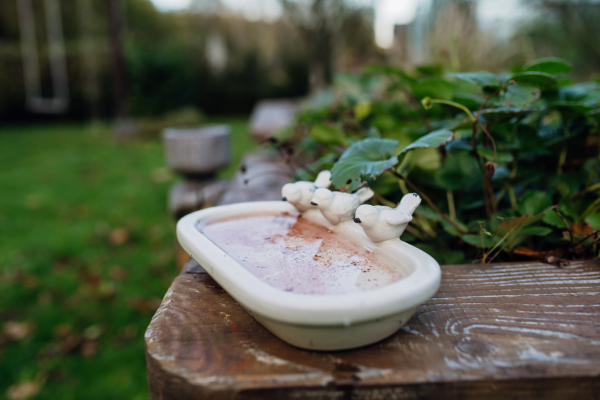 Bird bath in autumn, spring garden. White bird bath with three small bird statues, water inside.