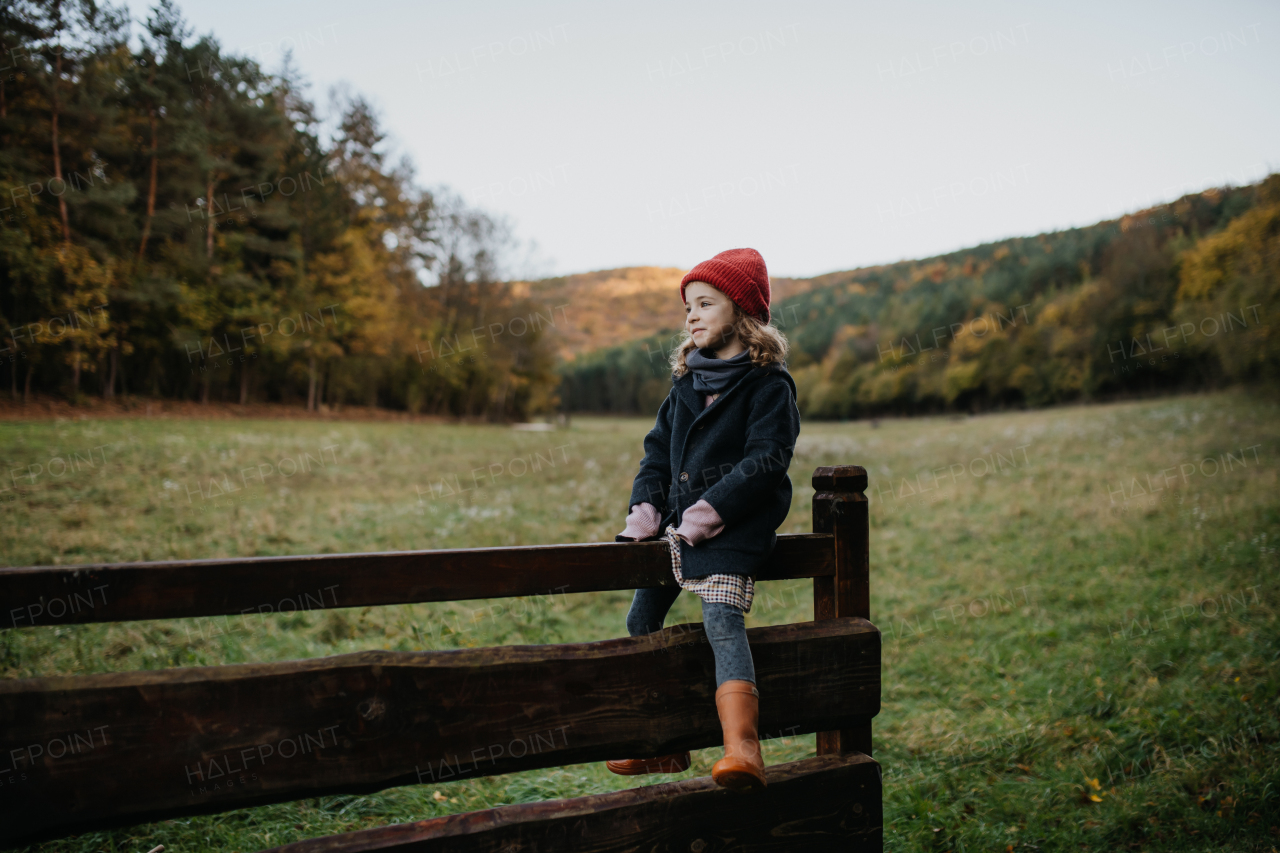 Young girl in warm clothes sitting on aged wooden fence or wooden gate, looking at autumn nature.