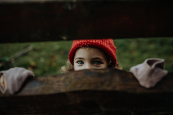 Portrait of cute little girl hiding behind wooden fence, looking between wooden boards.