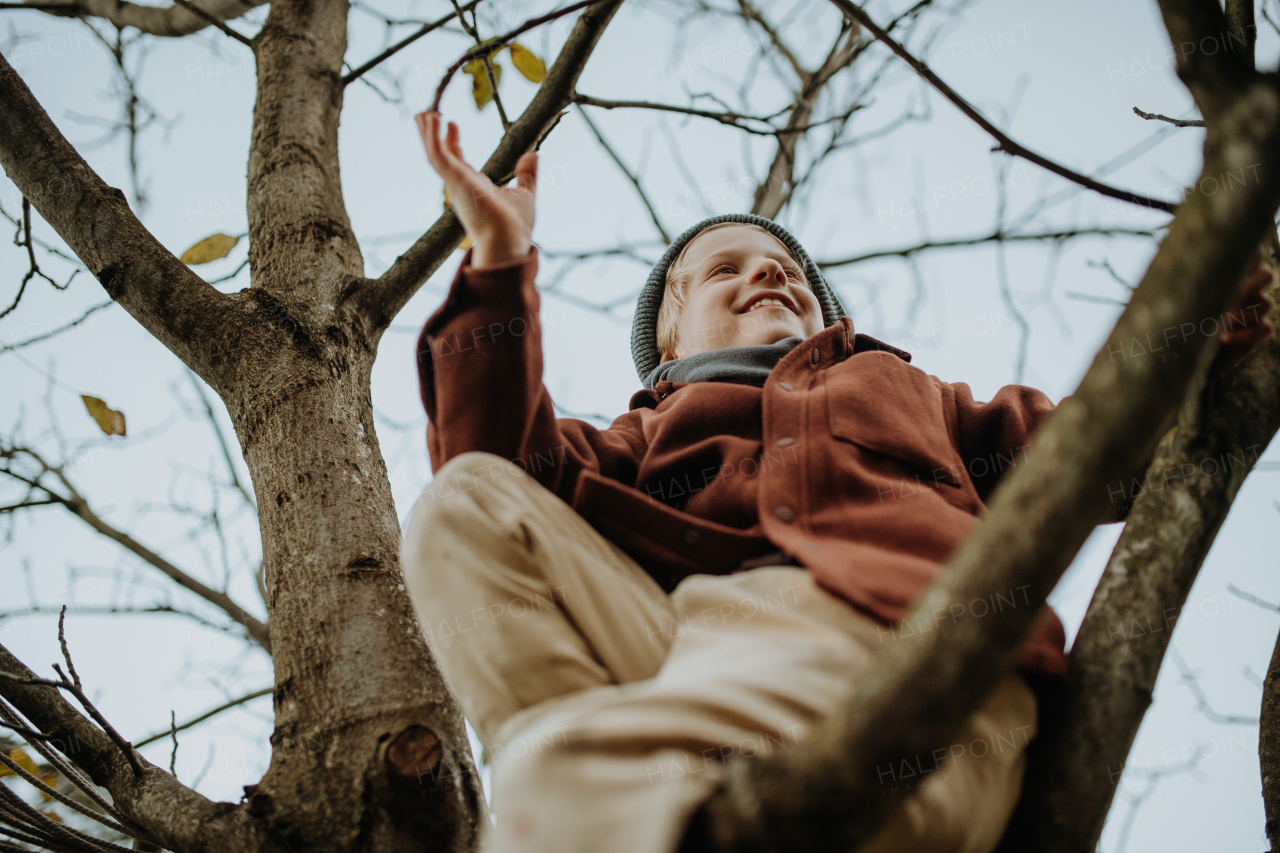 Happy boy playing on tree during first spring days. Little kid climbing tree, sitting on branch and smiling. Outdoor, garden activity for young children.