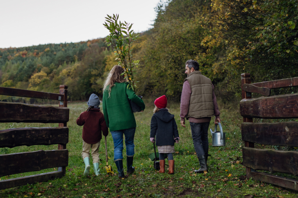 Rear view of family taking care of home garden, planting tree. Mother, father and kids spending time outdoors during a cold autumn day.