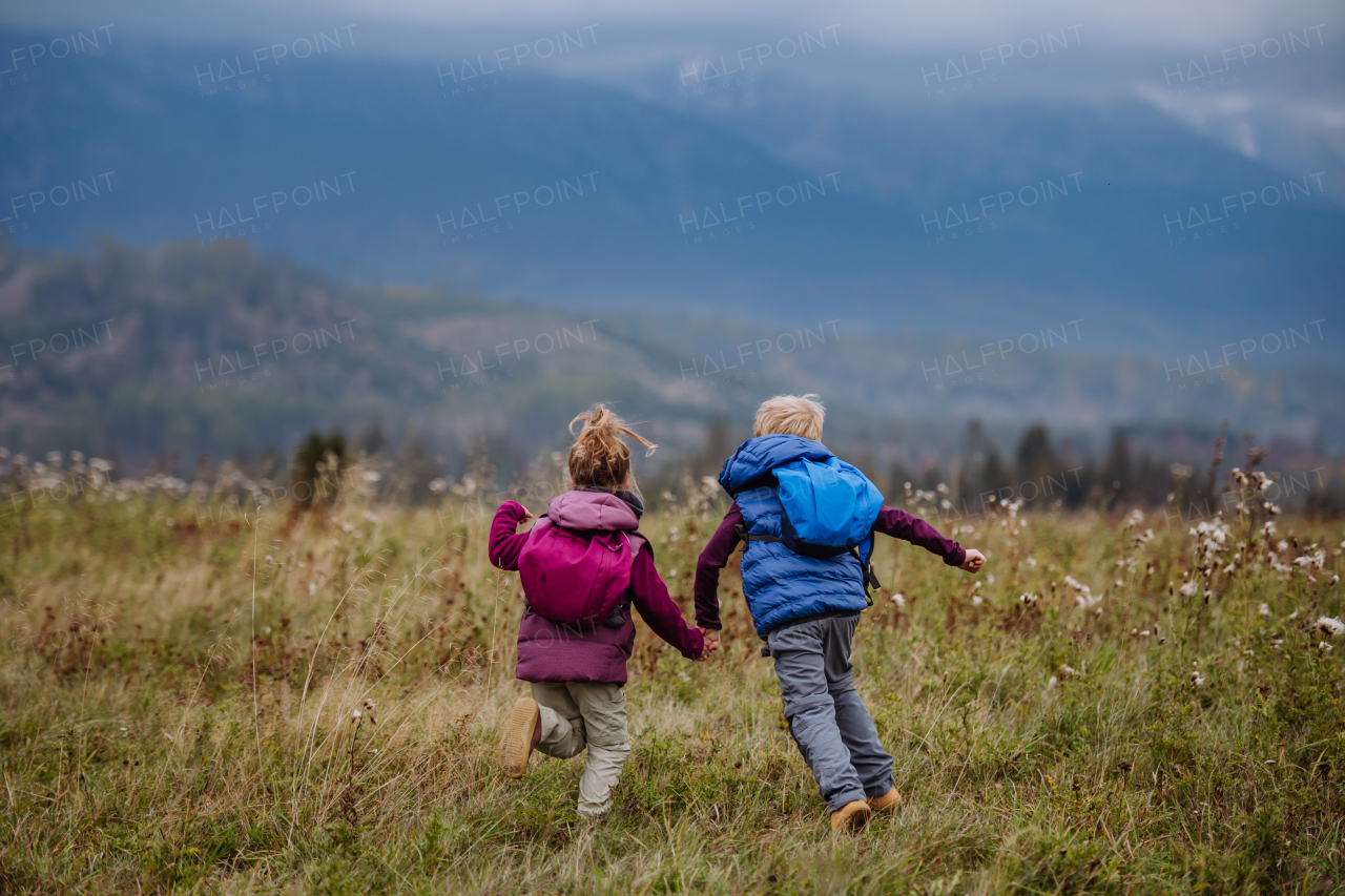 Rear view of little children runing at an autumn meadow.