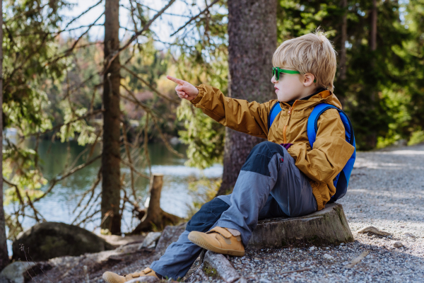 Portrait of little tourist boy hiking in the mountains. Cute boy pointing on something in the distance with finger.