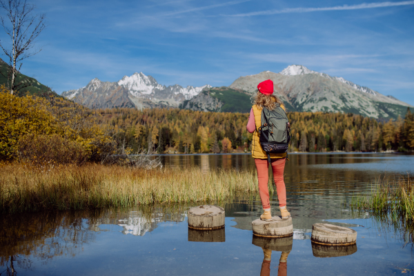 Rear view of woman standing on wooden steps on the shore of the lake in mountains. Female tourist enjoying mountains view.