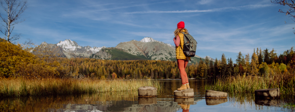 Rear view of woman enjoyingmountains view.